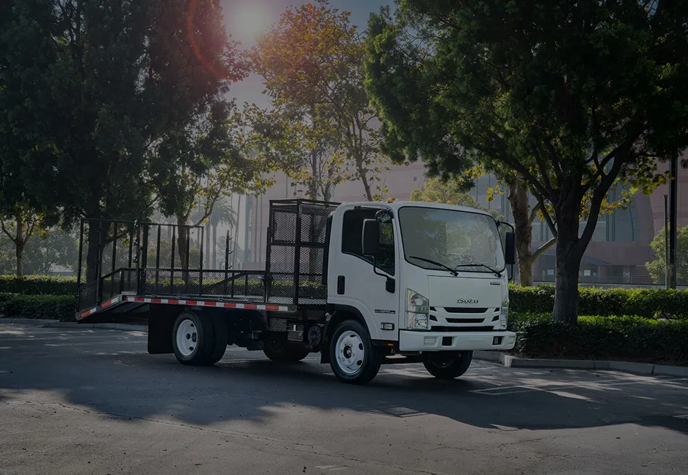 Truck with cage body